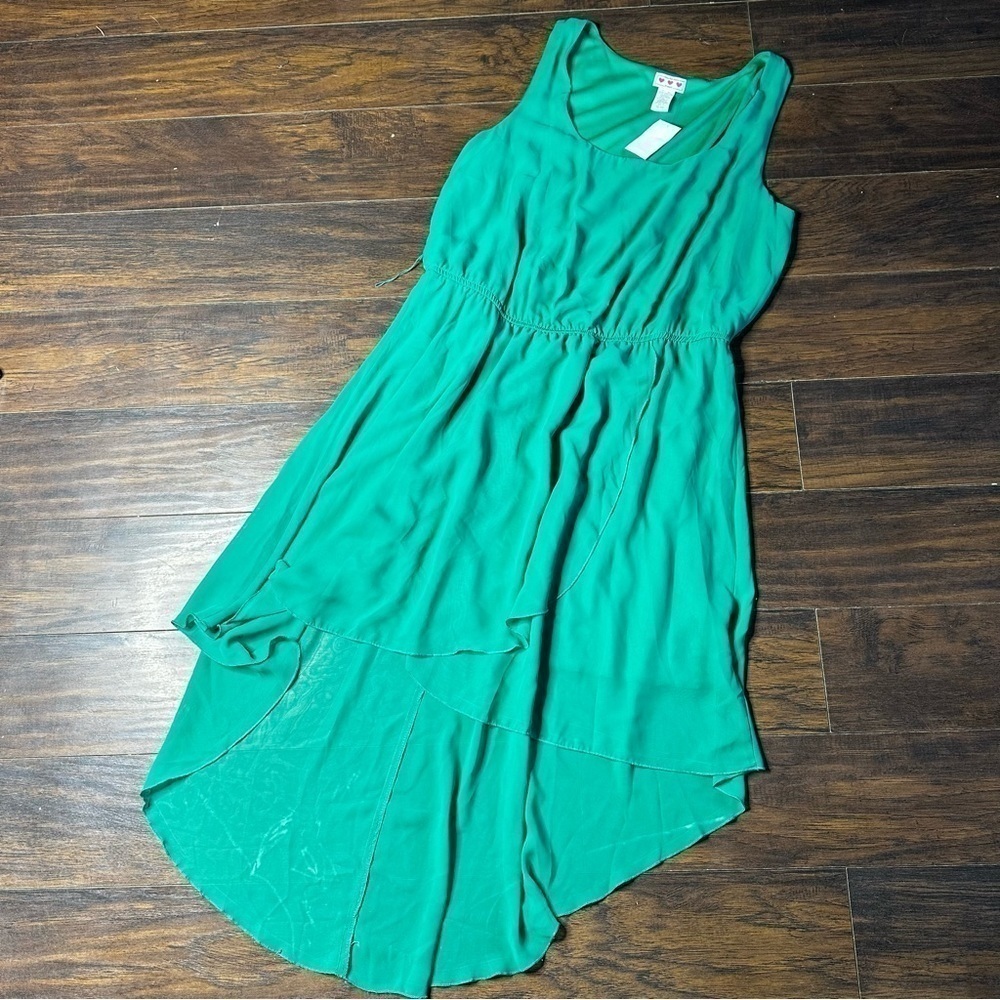 Three Pink Hearts Green Sleeveless Hi Low Dress
